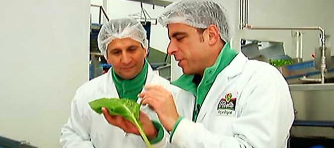 'Fabricando: Made in Spain'